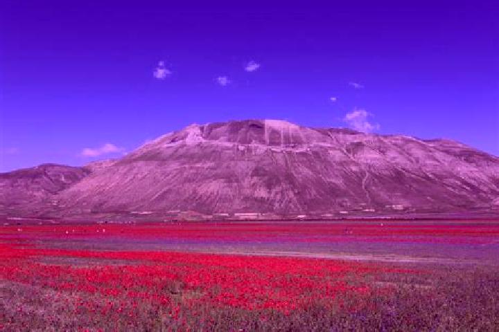 Escorts Castelluccio, Italy — Local Companions