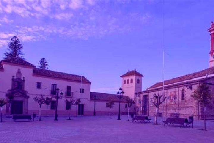Escorts Castilleja de la Cuesta, Spain — Local Companions