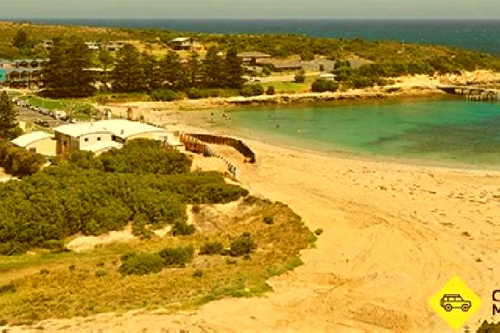 Escorts Cattai, Australia — Local Companions
