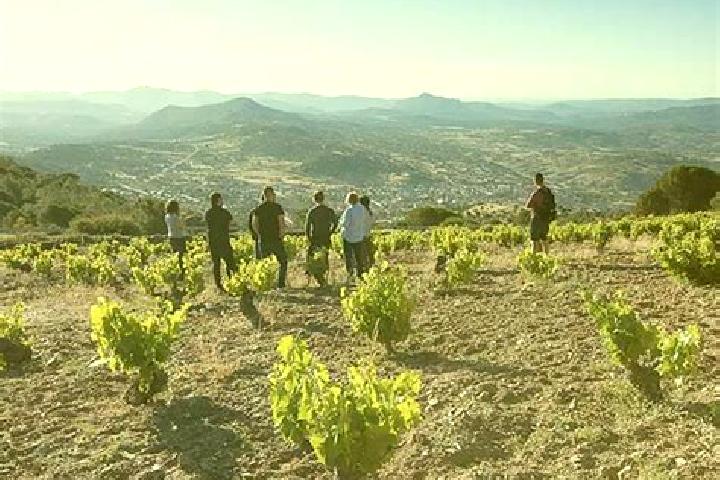 Escorts Cebreros, Spain — Local Companions