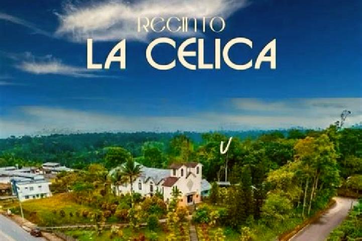 Escorts Celica, Ecuador — Local Companions