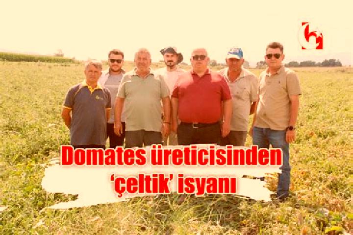 Escorts Celtik, Turkey — Local Companions