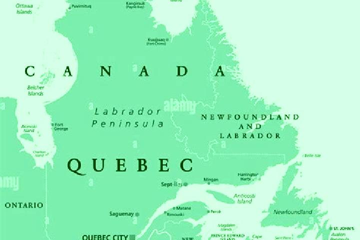 Escorts Central, Canada — Local Companions