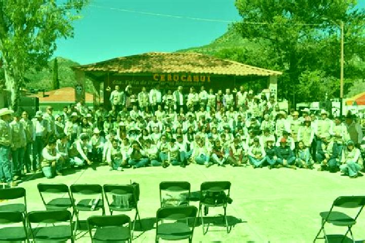 Escorts Cerocahui, Mexico — Local Companions