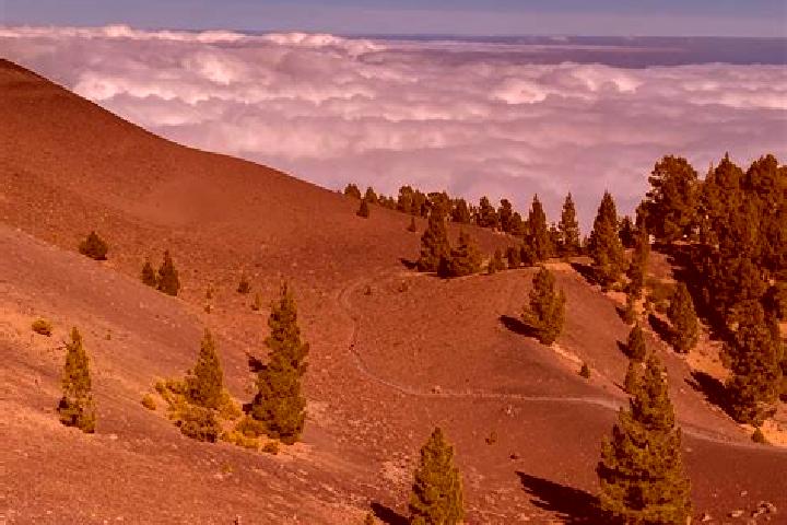Escorts Cerro de la Palma, Mexico — Local Companions