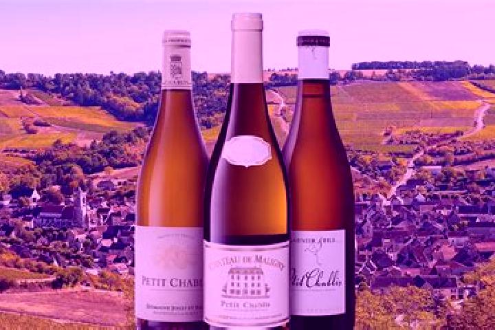 Escorts Chablis, France — Local Companions