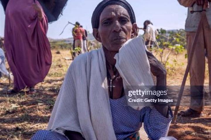 Escorts Chagni, Ethiopia — Local Companions