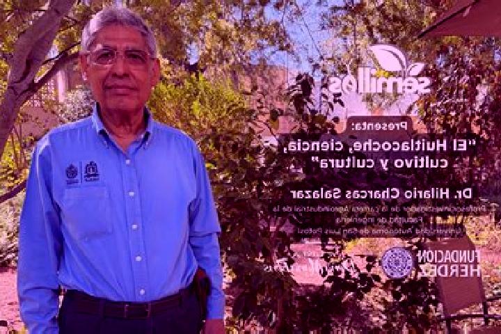 Escorts Charcas, Mexico — Local Companions