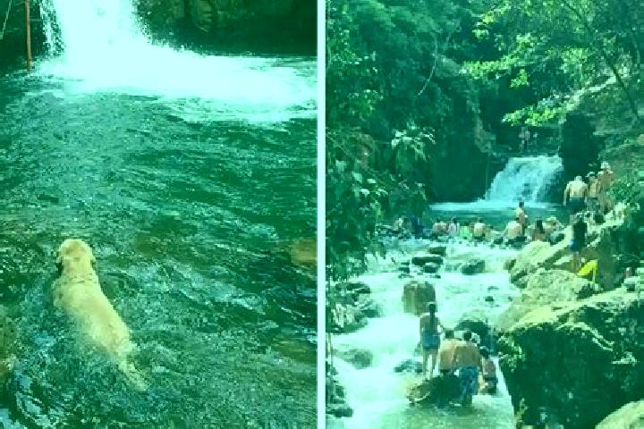 Escorts Charco de Pantoja, Mexico — Local Companions