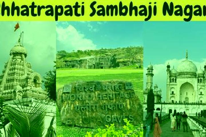 Escorts Chatrapatti, India — Local Companions
