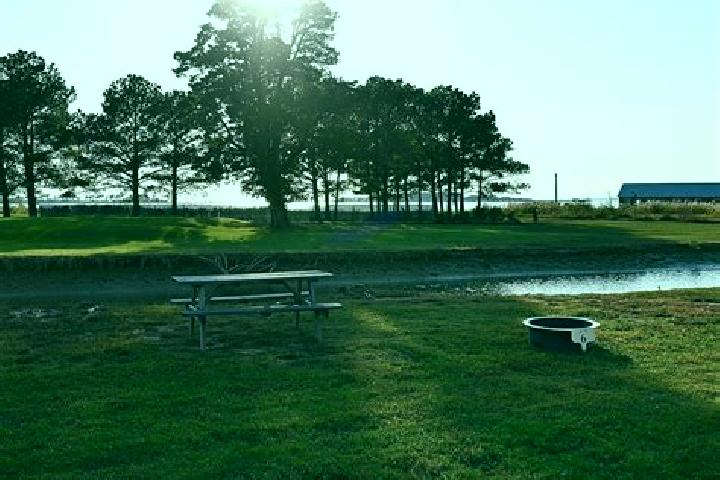 Escorts Chesapeake Ranch Estates, United States — Local Companions