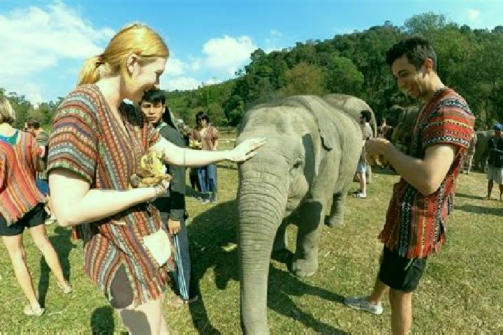 Escorts Chiang Mai, Thailand — Local Companions
