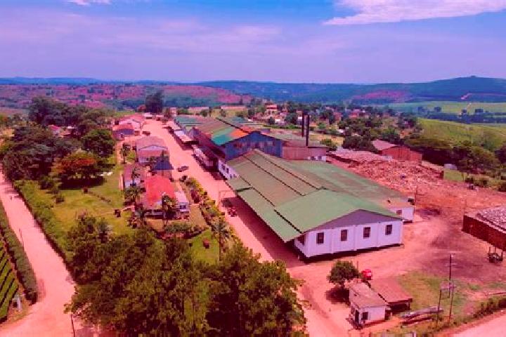Escorts Chipinge, Zimbabwe — Local Companions