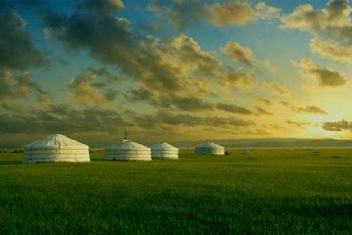 Escorts Chiri-Yurt, Russia — Local Companions
