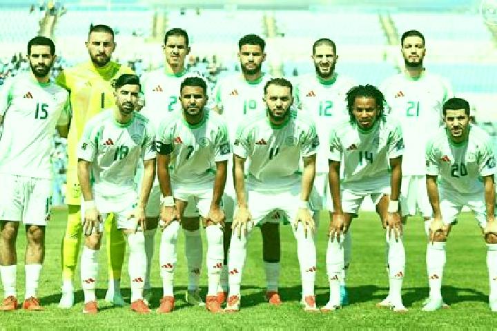 Escorts Chorfa, Algeria — Local Companions