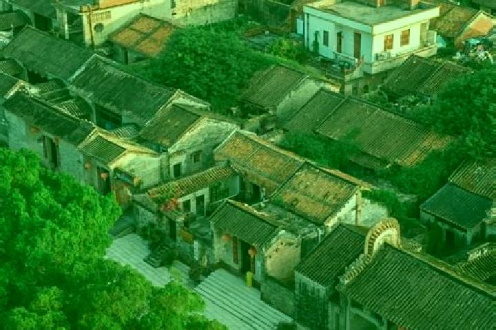 Escorts Chuzhou, China — Local Companions