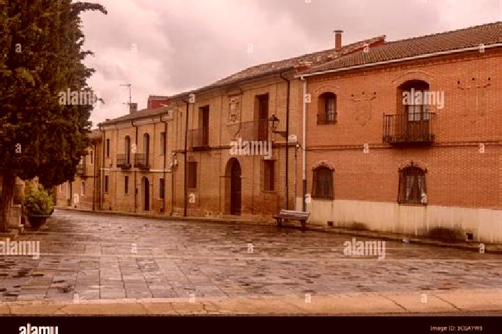 Escorts Cisneros, Spain — Local Companions