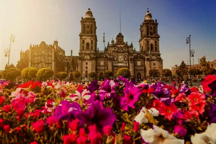 Escorts Ciudad Fernandez, Mexico — Local Companions