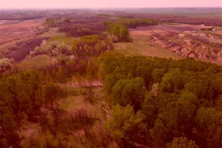 Escorts Ciupercenii Vechi, Romania — Local Companions