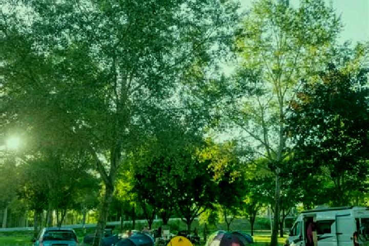 Escorts Civray-de-Touraine, France — Local Companions