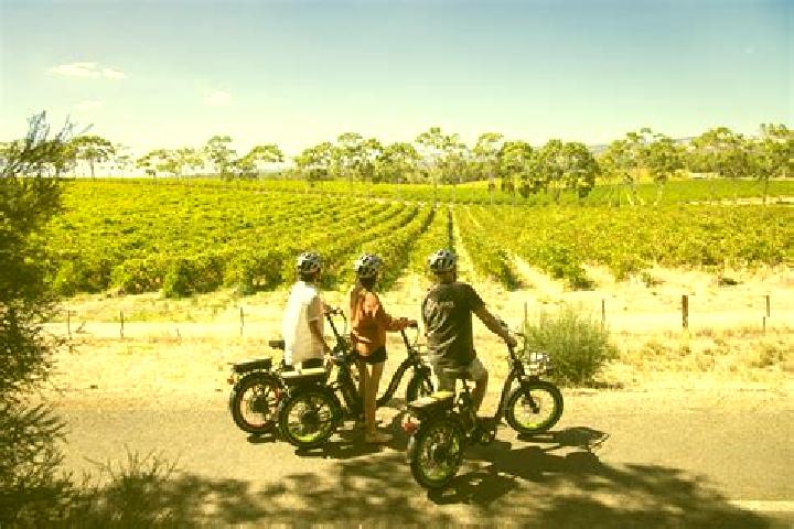 Escorts Clarendon, Australia — Local Companions