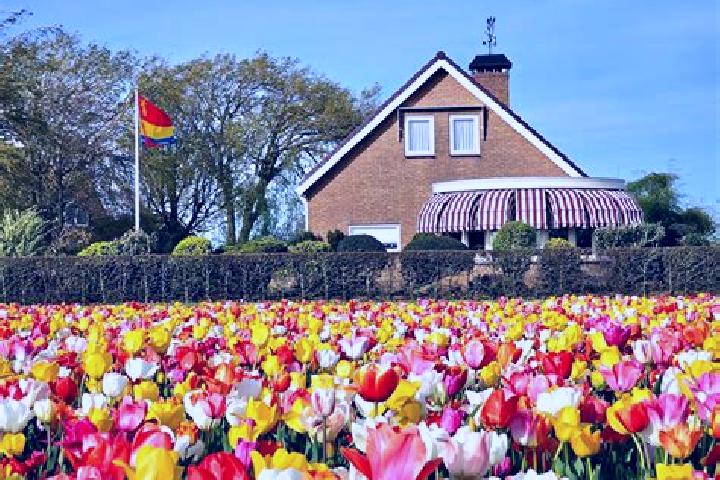 Escorts Colijnsplaat, Netherlands — Local Companions