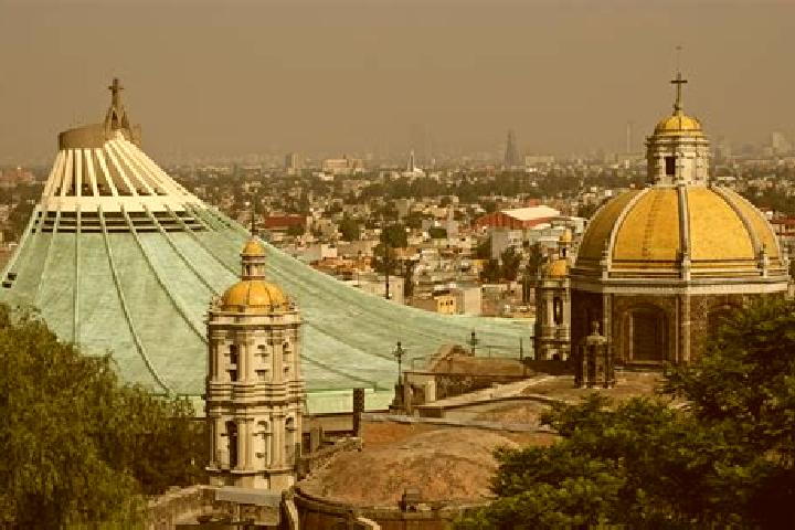 Escorts Colonia de Guadalupe, Mexico — Local Companions