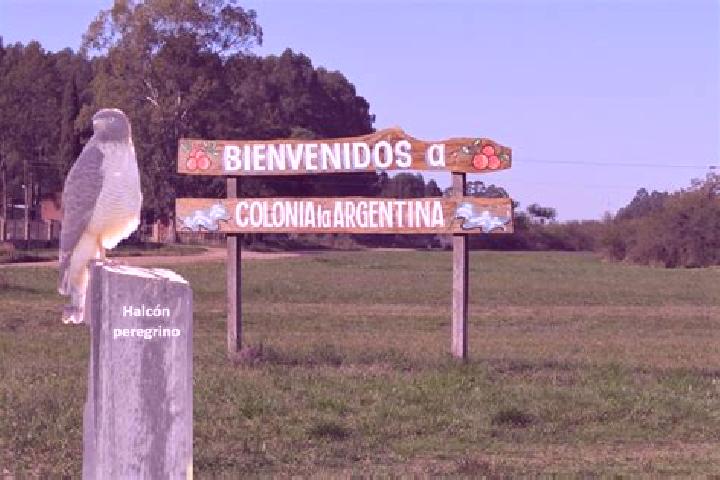 Escorts Colonia Libertad, Argentina — Local Companions