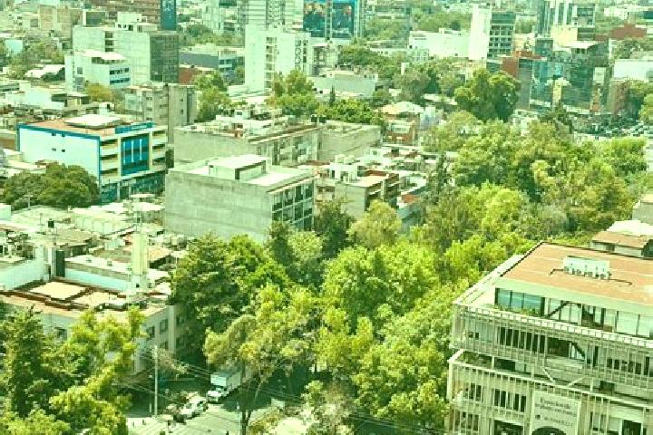 Escorts Colonia Rafael Corrales Ayala, Mexico — Local Companions