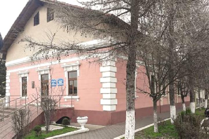 Escorts Comlosu Mare, Romania — Local Companions