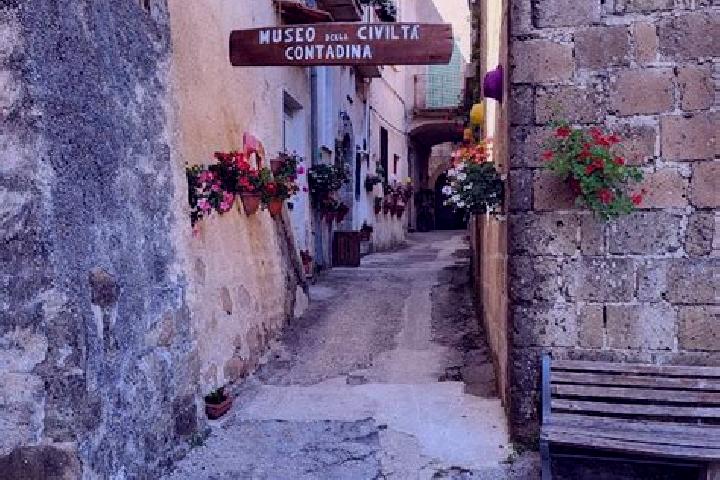 Escorts Conca della Campania, Italy — Local Companions