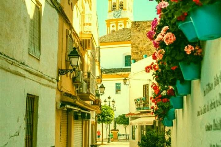 Escorts Concepcion, Spain — Local Companions