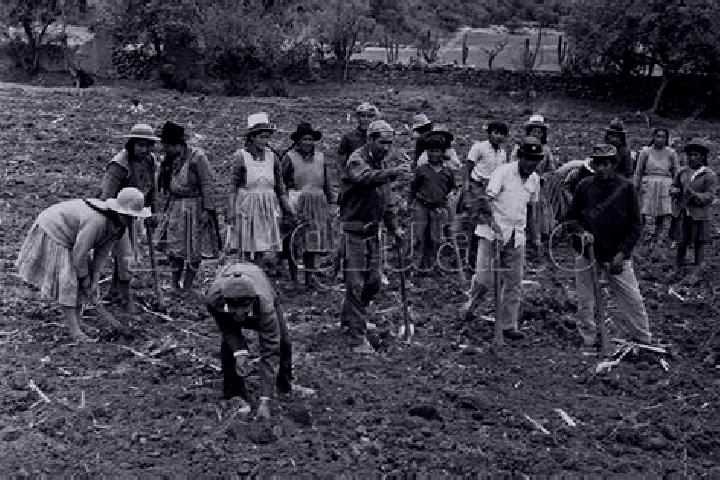 Escorts Conquista Campesina, Mexico — Local Companions