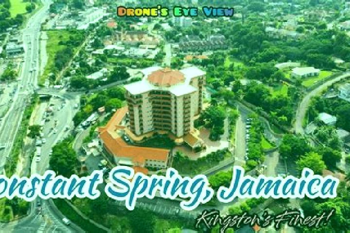 Escorts Constant Spring, Jamaica — Local Companions