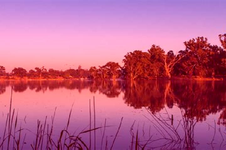 Escorts Coomealla, Australia — Local Companions
