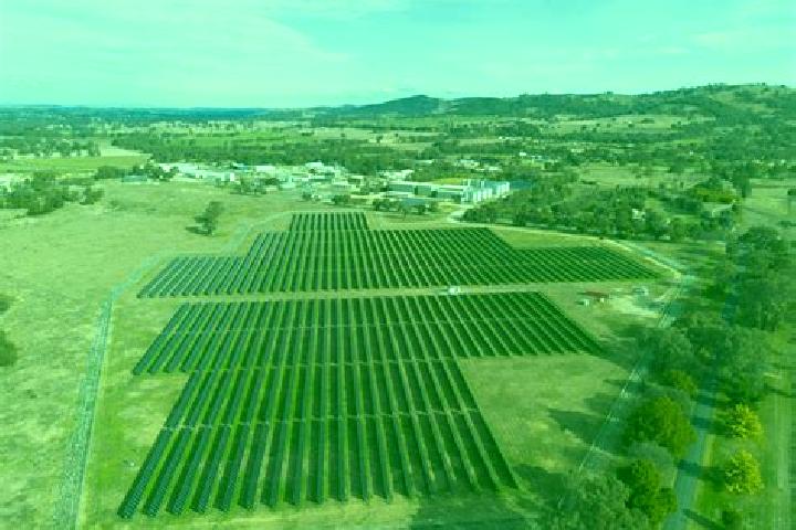 Escorts Cootamundra, Australia — Local Companions