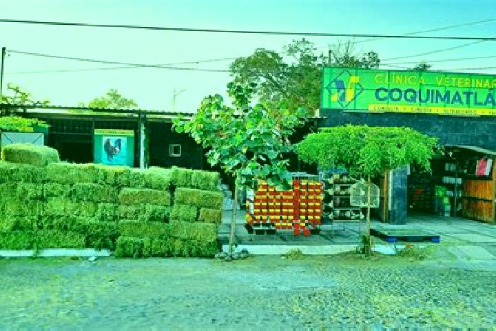 Escorts Coquimatlan, Mexico — Local Companions