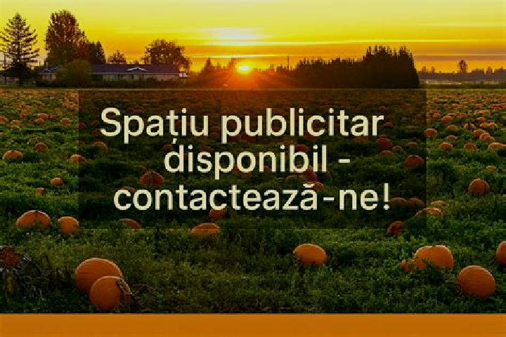 Escorts Corni-Albesti, Romania — Local Companions