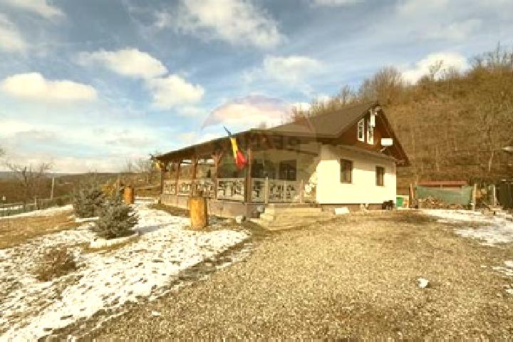 Escorts Cotofanesti, Romania — Local Companions