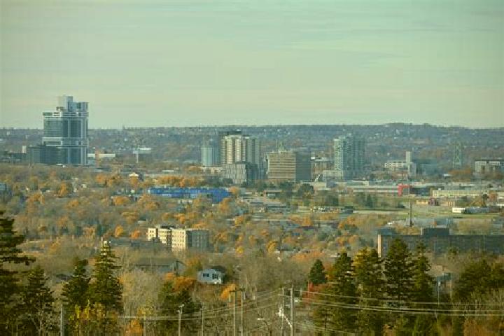 Escorts Cowie Hill, Canada — Local Companions