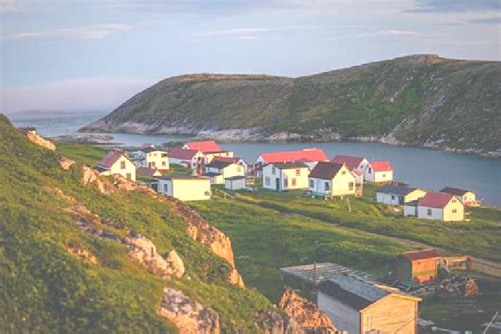 Escorts Cox s Cove, Canada — Local Companions