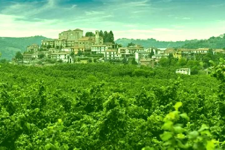 Escorts Cravanzana, Italy — Local Companions