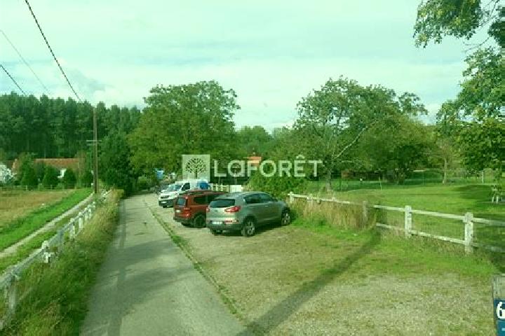 Escorts Crecy-en-Ponthieu, France — Local Companions