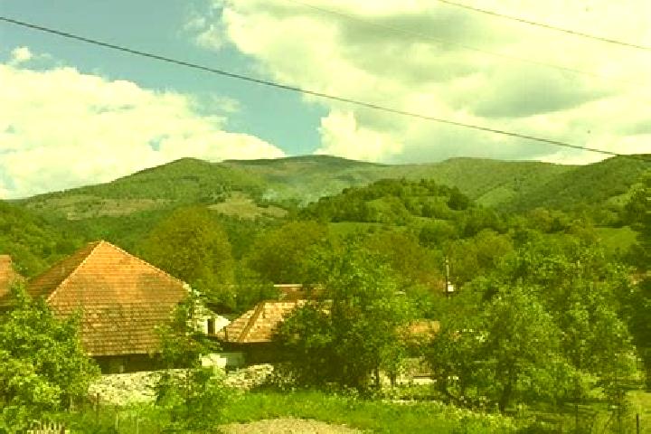 Escorts Cristioru de Jos, Romania — Local Companions