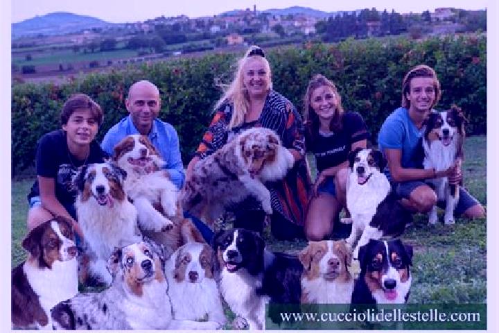 Escorts Crocetta del Montello, Italy — Local Companions