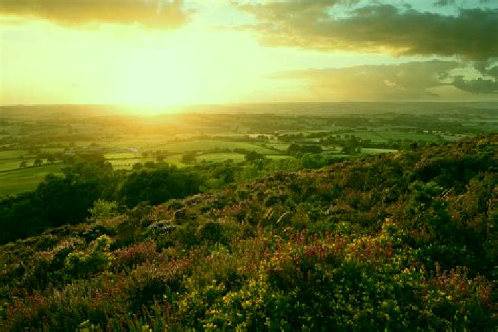 Escorts Cross Hills, United Kingdom — Local Companions