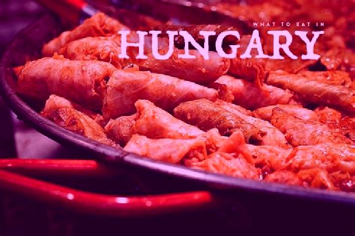 Escorts Csanadapaca, Hungary — Local Companions