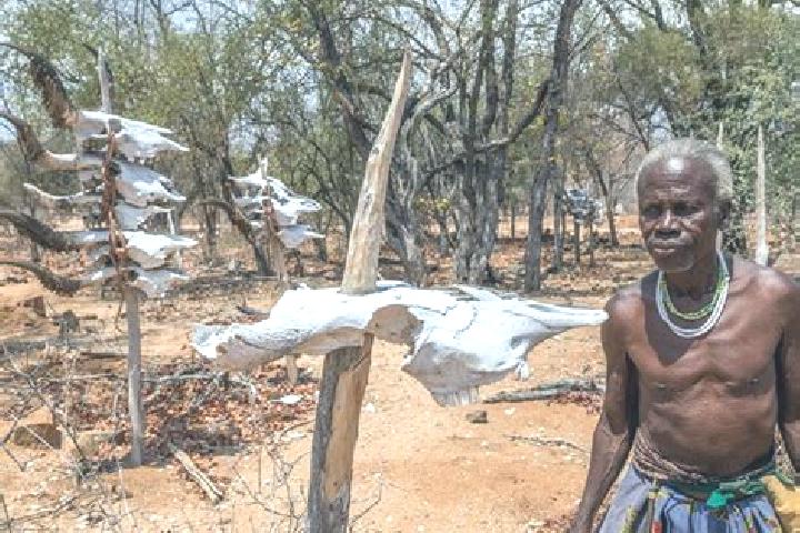 Escorts Cubal do Lumbo, Angola — Local Companions