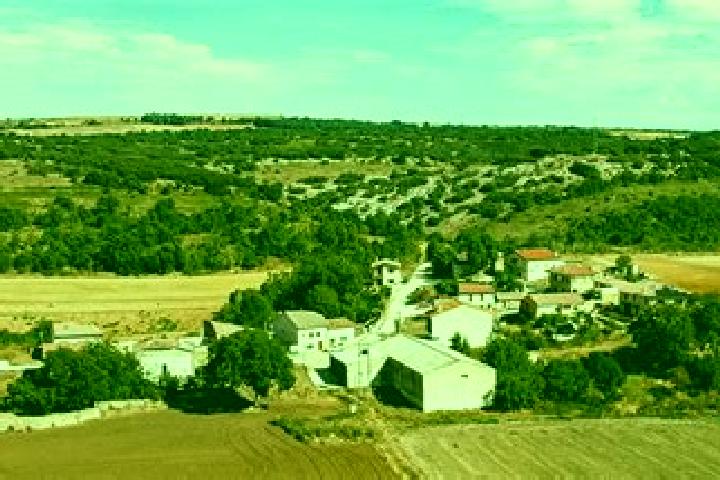Escorts Cubillo del Campo, Spain — Local Companions