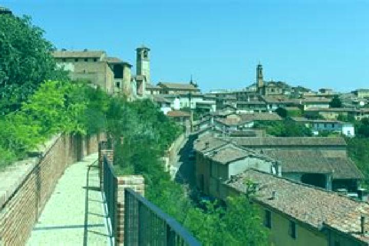 Escorts Cuccaro Monferrato, Italy — Local Companions